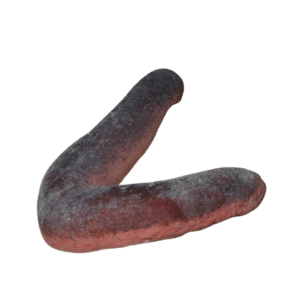 Black and Pink Cucumber (Expert Only)