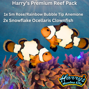 Harry’s Premium Reef Pack (Read Description)